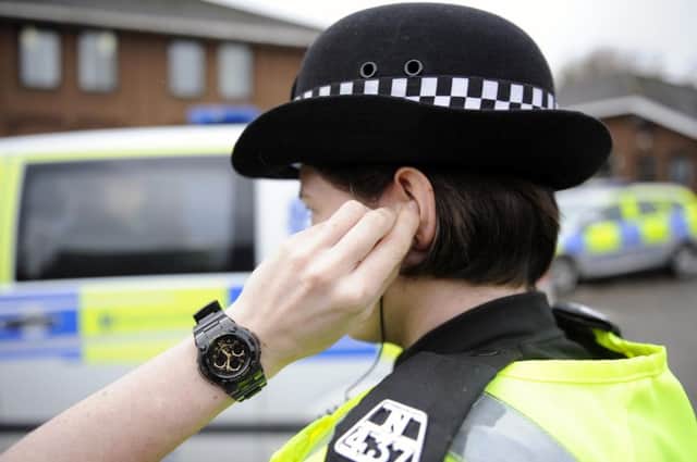 Police are appealing for witnesses to help track down the dog's owner. Picture: John Devlin