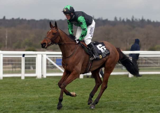 Tony McCoy, riding Firm Order, makes his way down the home straight on his last outing at Ascot. Picture: Getty