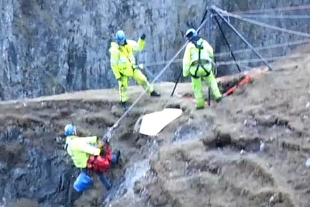 Crouton, the Rhodesian ridgeback pup, is rescued by Shetland coastguards. Picture: Contributed