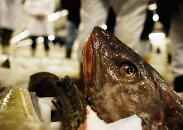 North Seas fish stocks had been in decline. Picture: Getty