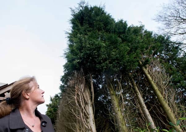 Audrey Alexander of Balfron is five foot four inches. Picture: Wullie Marr/Deadline News