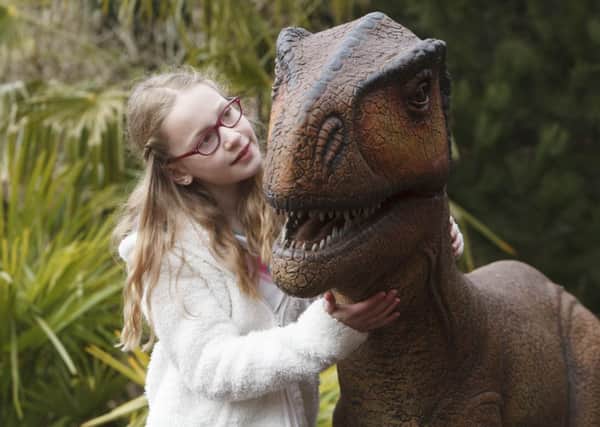 Why should it be presumed little girls wouldn't like dinosaurs. Picture: Toby Williams