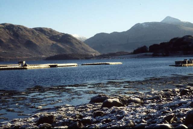 Loch Etive. Picture: Contributed