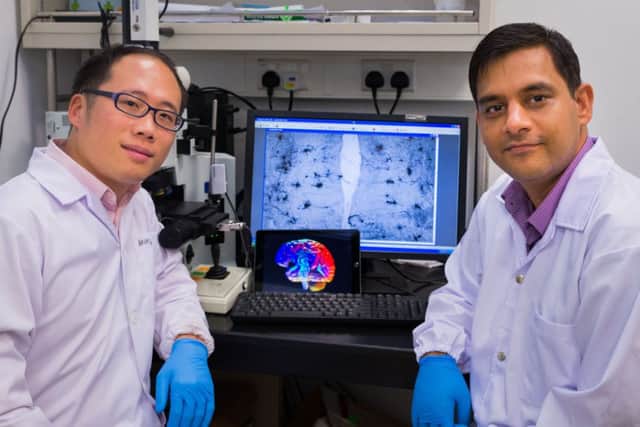 Dr Lee Wei Lim, left, and Ajai Vyas presented research and highlighted it could be used on humans. Picture: NTU Singapore