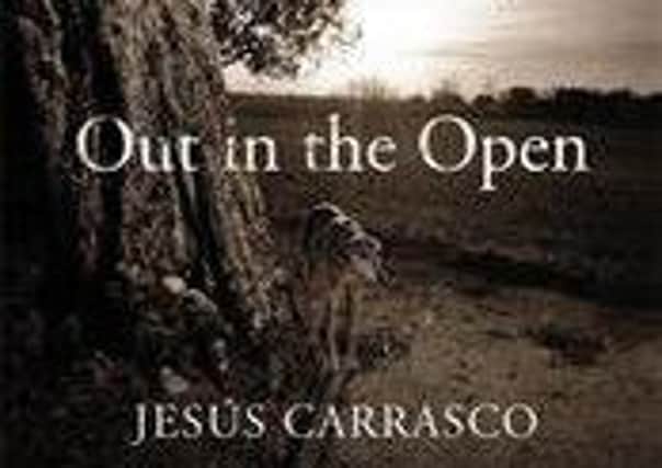 Out in the Open by Jesus Carrasco. Picture: Contributed