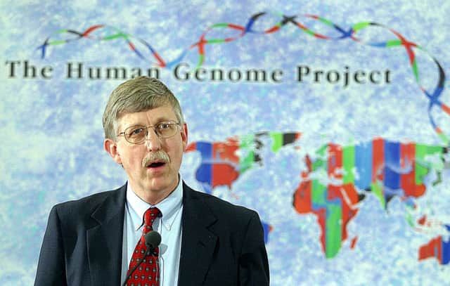 On this day in 2003 scientists declared that the mapping of human DNA under the Human Genome Project was complete. Picture: Getty