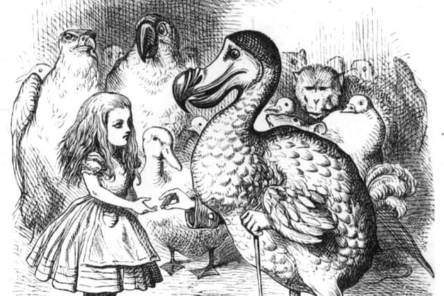 The dodo presenting Alice with a thimble, in an illustration by Tenniel from the 1st edition of 'Alice in Wonderland' by Lewis Carroll. Picture: Getty