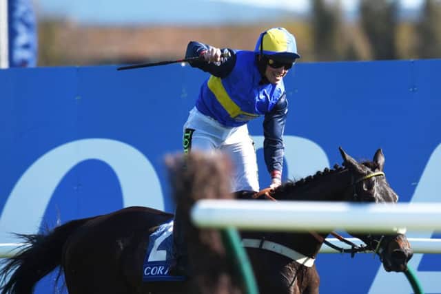 Robbie Dunne rides Wayward Prince to victory in the Scottish Grand National. Picture: SNS