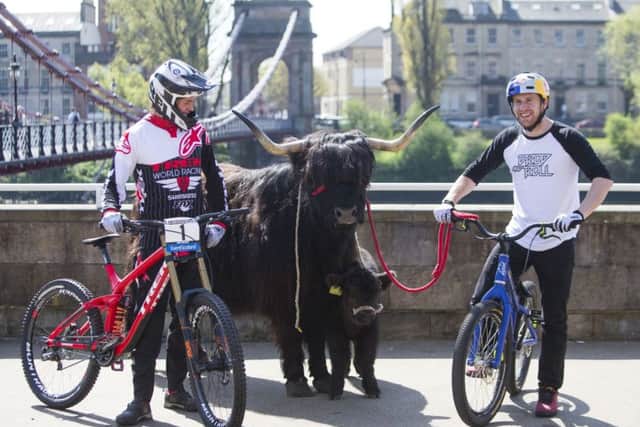 Danny MacAskill, right, and Scottish Downhill Champion Greg Williamson with two Highland cows. Picture: PA