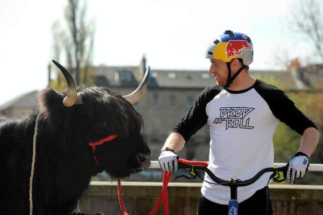 Danny MacAskill promotes The Fort William UCI Mountain Bike World Cup (6-7 June) by jumping over Highland cows. Picture: Hemedia
