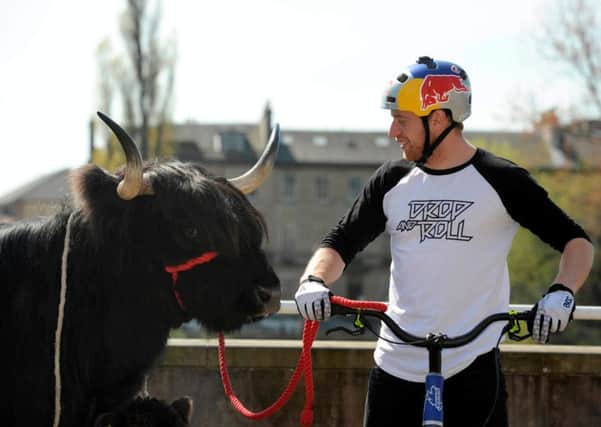 Danny MacAskill promotes The Fort William UCI Mountain Bike World Cup (6-7 June) by jumping over Highland cows. Picture: Hemedia