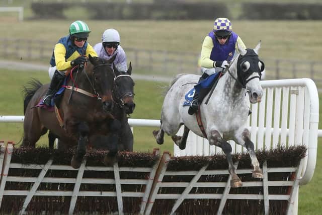 Wicklow Lad is one of two runners for Nick Alexander in todays Highland National Handicap Chase at Perth. Picture: PA