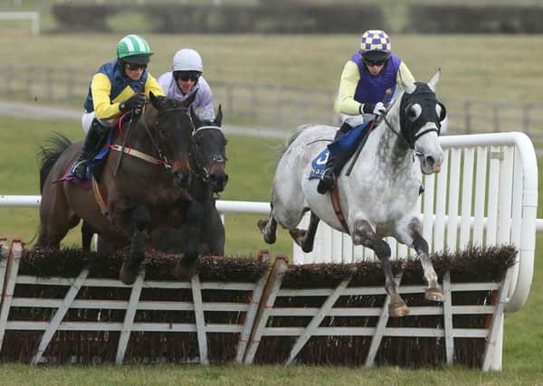 Wicklow Lad is one of two runners for Nick Alexander in todays Highland National Handicap Chase at Perth. Picture: PA