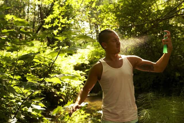 Insects in the US have been repelled by Bug Soother, but overcoming Scotlands fearsome midges could be a taller order. Picture: Thinkstock