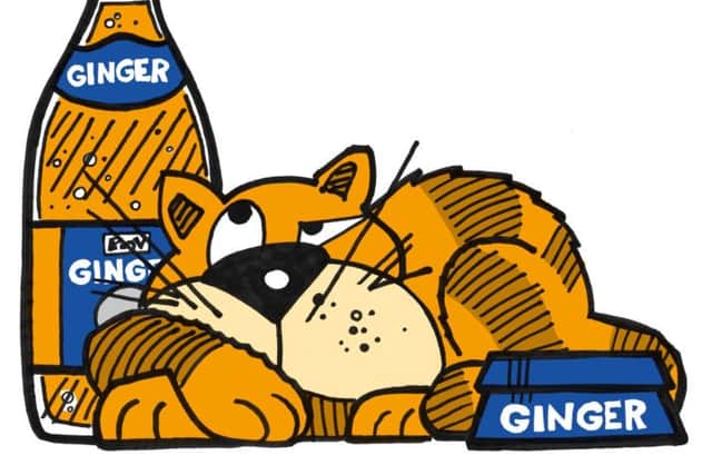 Ginger the cat has become an instant hit for Pets n Vets
