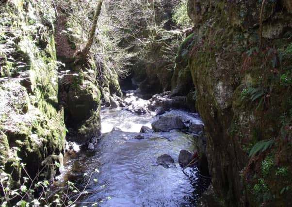 Rumbling Bridge Gorge in Kinross-Shire. Picture: Nick Drainey