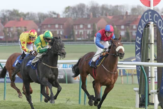 Hydrant ridden by Connor Beasley (blue and red) wins at Ayr. Picture: Grossick Racing
