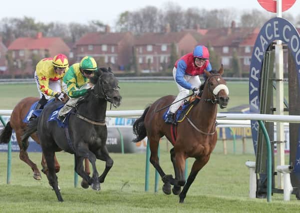Hydrant ridden by Connor Beasley (blue and red) wins at Ayr. Picture: Grossick Racing