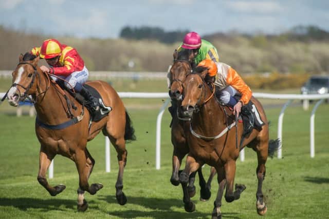 Ralphy Boy, left, wins the Weatherby's Bank Handicap Stakes at Musselburgh. Picture: Andrew OBrien