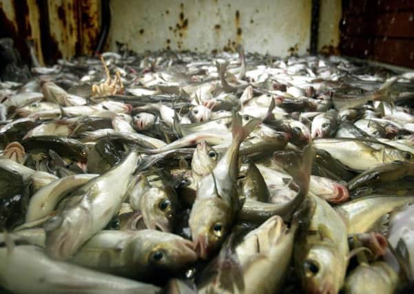 Fish landings in Shetland have topped the 76 million pound mark. Picture: PA