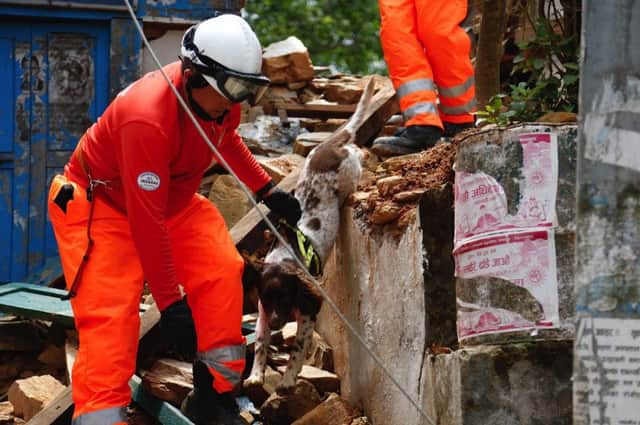 Gary Carroll and Diesel at work in Kathmandu. Picture: Contributed