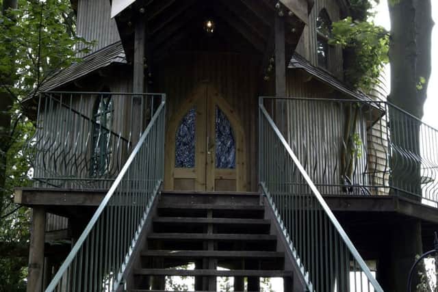 Stairs leading up to the 'fairytale' tree house. Picture: TSPL