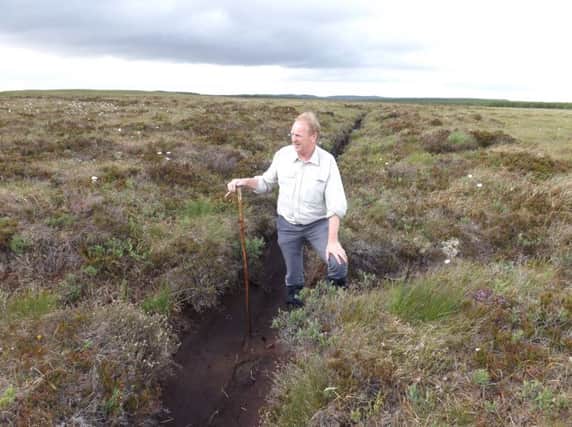The unique blanket peat bogs of the Flow Country are threatened by the wind farm proposed for Strathy South