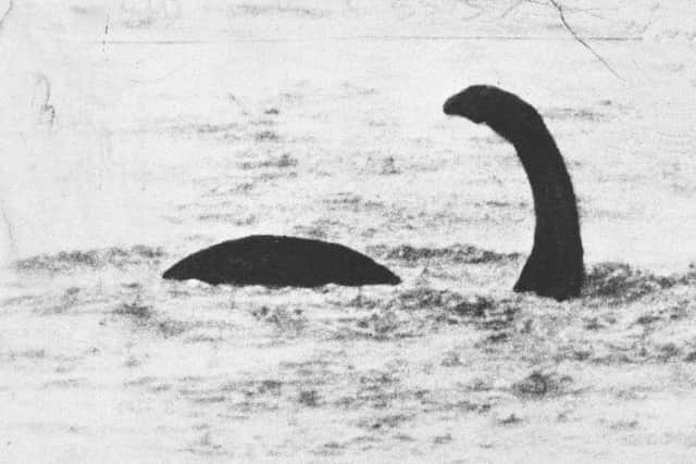 The Loch Ness Monster: probably an otter. Picture: Contributed