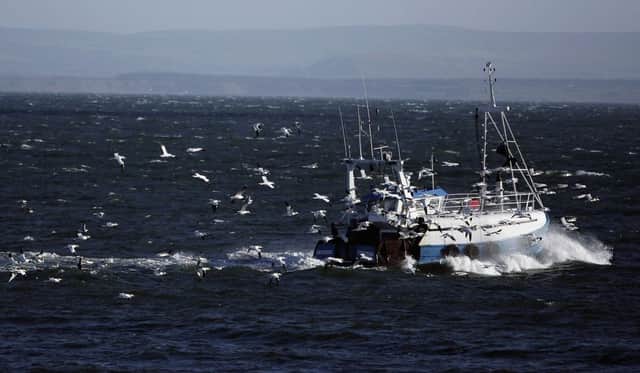 Landings by the Scottish fishing fleet last year hit a record value of half a billion pounds. Picture: Getty