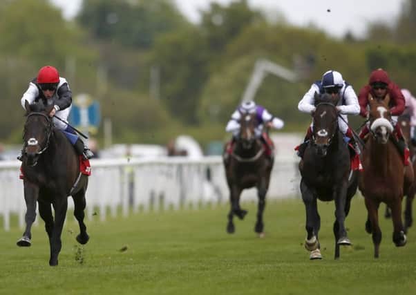 Golden Horn storms clear of his stablemate Jack Hobbs, second right, to win the Dante Stakes. Picture: Getty