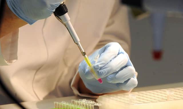 A particular type of stem cell helped to repair and recover damaged heart muscle when tested in mice. Picture: Lisa Ferguson