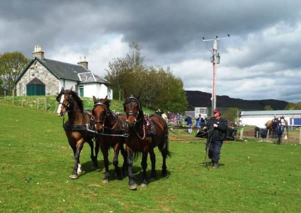 Ruaridh Ormiston leads some of the horses that will be used in the anniversary event. Picture: Contributed