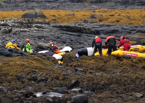 British Divers Marine Life Rescue tend to stranded pilot whales on the rocks of Staffin Island on the Isle of Skye. Picture: PA