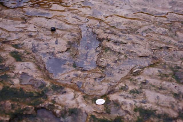 One of the dinosaur prints on Staffin beach. Picture: Contributed