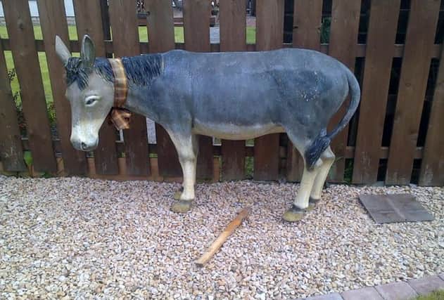 Joshua the donkey, who sparked an SSPCA call-out. Picture: Contributed