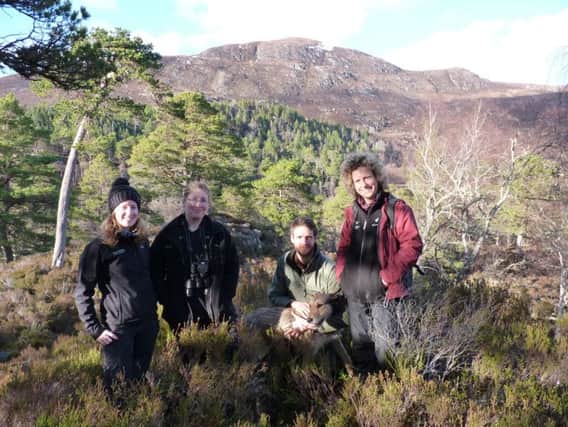 The pine marten is an increasingly common sight across Scotland. Lizzie Croose (left) and team Jenny MacPherson, David Bavin and Aline Denton