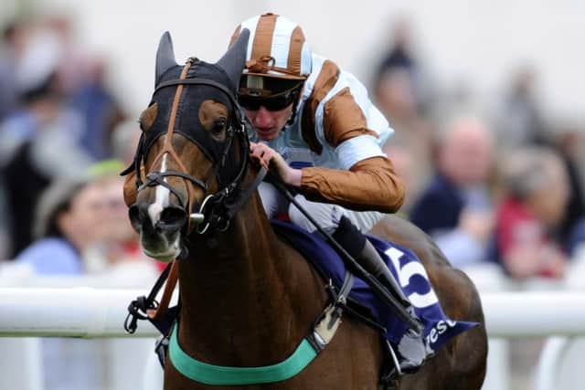 Caspian Prince carries top weight in the William Hill Scottish Sprint Cup. Picture: Getty