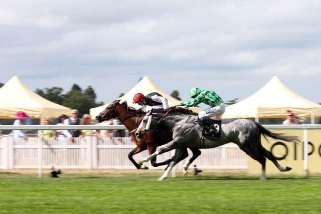 Free Eagle, with Pat Smullen aboard, holds off The Grey Gatsby and Jamie Spencer to win. Picture: David Davies