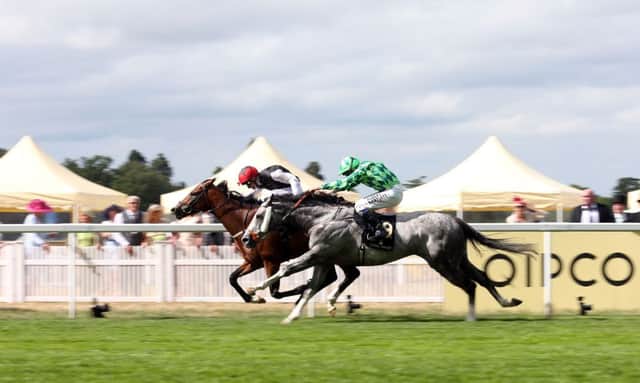 Free Eagle, with Pat Smullen aboard, holds off The Grey Gatsby and Jamie Spencer to win. Picture: David Davies
