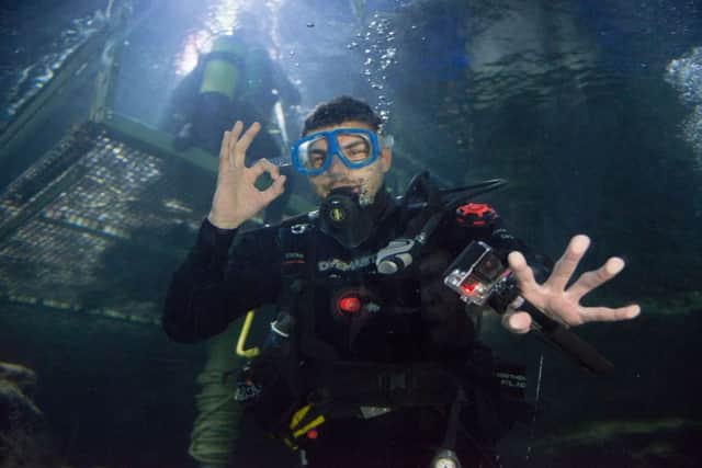 Callum Paterson, who visited Deep Sea World yesterday, is looking forward to seeing full houses at Tynecastle. Picture: Andrew OBrien