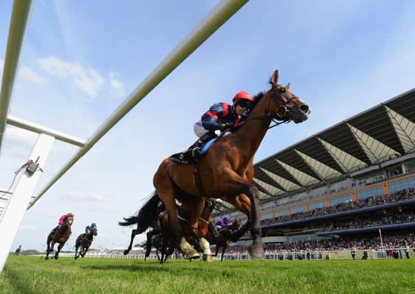 Graham Lee riding Trip To Paris wins The Gold Cup. Picture: Getty