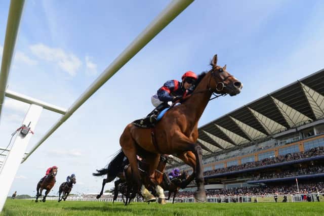 Graham Lee riding Trip To Paris wins The Gold Cup. Picture: Getty