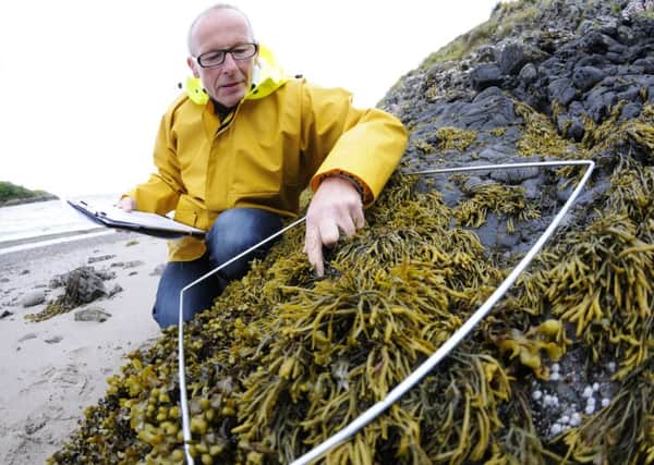 More staff needed: Mike Burrows of the Scottish Association for Marine Science at Dunstaffnage Bay near Oban. Picture: Contributed