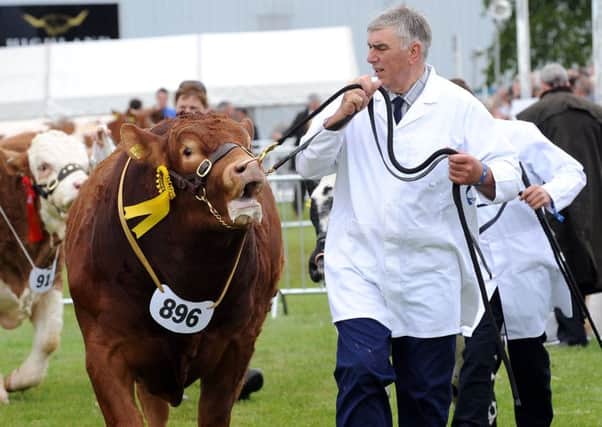 The Royal Highland Show 2015. Picture: Picture: Lisa Ferguson