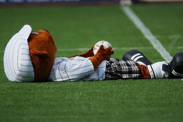 Sammy the Tammy tries out Dunfermline's new artificial surface before a match against Hibernian. Picture: Neil Hanna