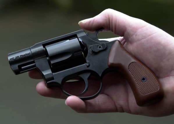 The Bill's headline provision for a licensing regime for airguns fulfils a previous pledge by the SNP. Picture: PA