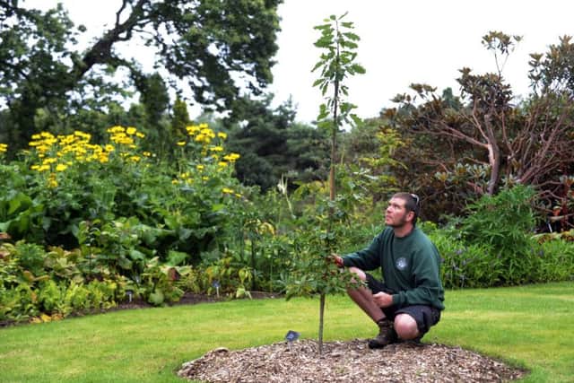 Edinburghs Royal Botanic Garden is part of the new distribution deal. Picture: Phil Wilkinson