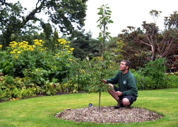 Edinburghs Royal Botanic Garden is part of the new distribution deal. Picture: Phil Wilkinson