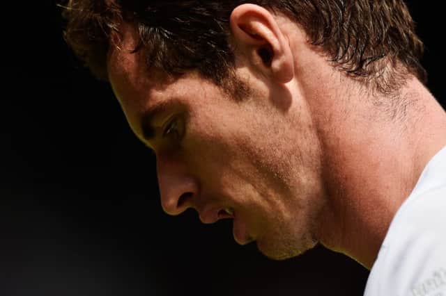 Murray faces the Dutchman Robin Haase later today. Picture: Getty