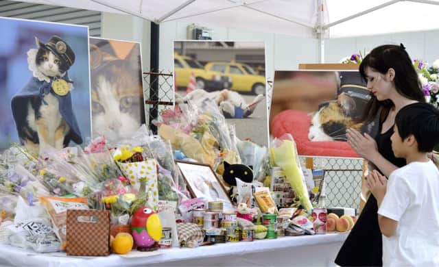 People pray in front of an altar set up for the funeral of Tama, the stationmaster cat, in Kinokawa City. Picture: AP
